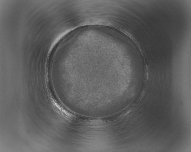 X0000076311120200610201605