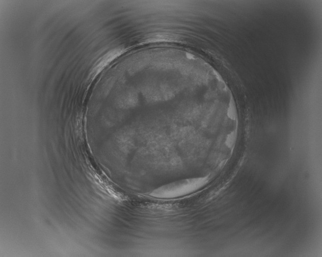 X0000076311121200610201605