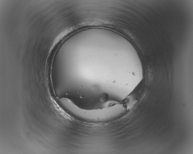 X0000076311122200610201605