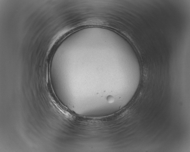 X0000076311123200610201605