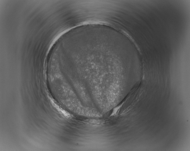 X0000076311124200610201605