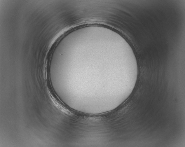 X0000076311126200610201605