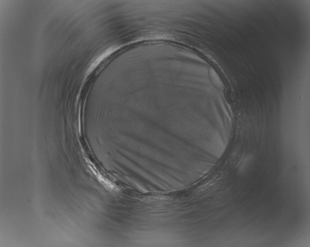 X0000076311127200610201605