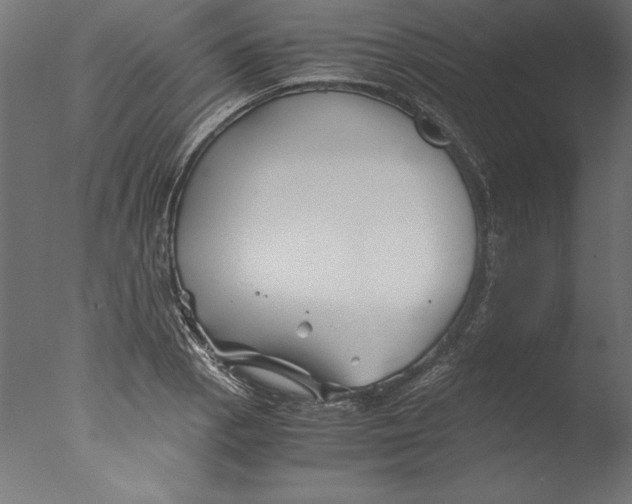 X0000076311129200610201605