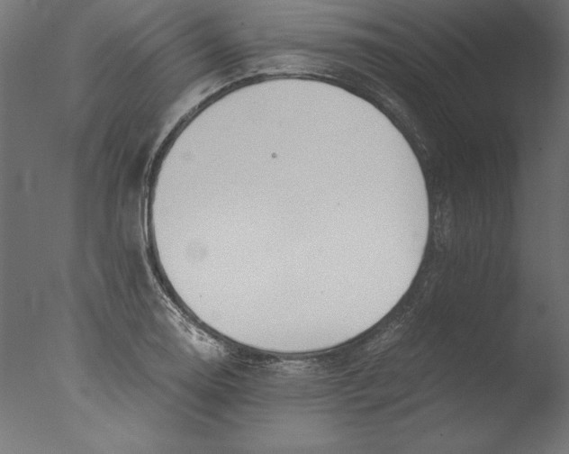 X0000076311130200610201605