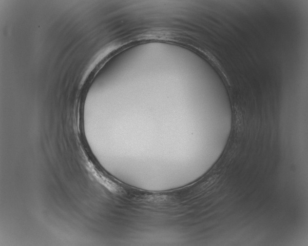 X0000076311131200610201605