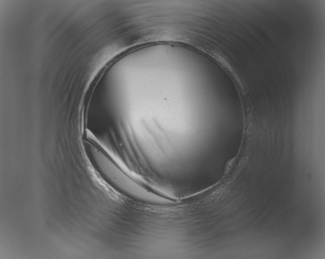 X0000076311132200610201606