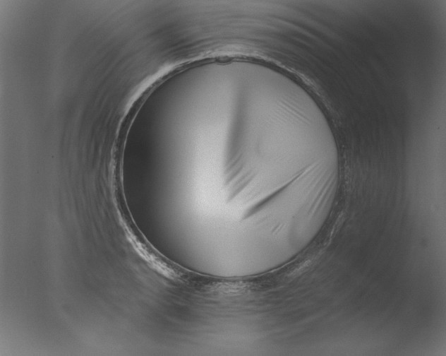 X0000076311134200610201606