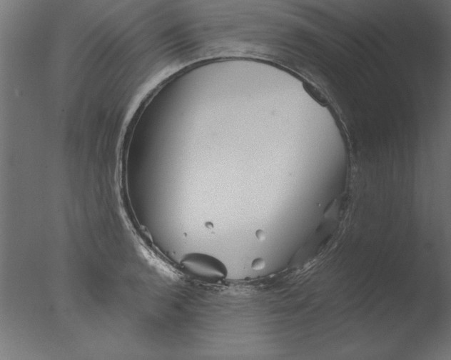 X0000076311136200610201606