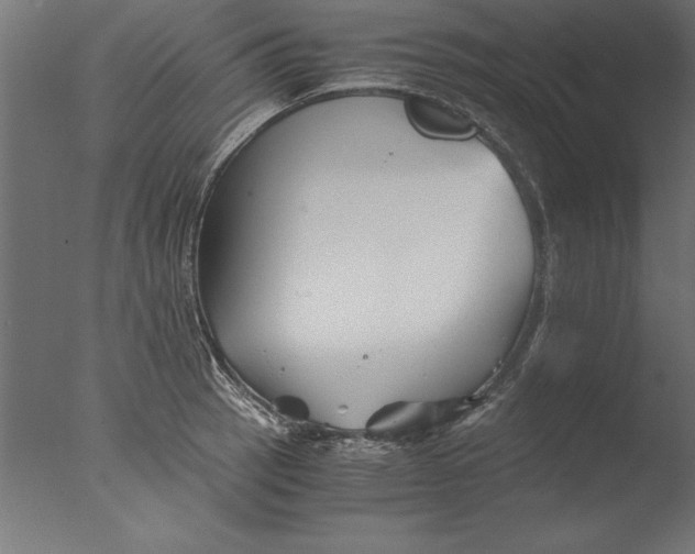 X0000076311137200610201606