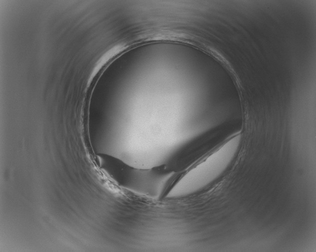 X0000076311138200610201606