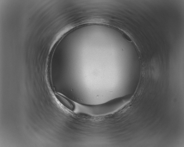 X0000076311139200610201606