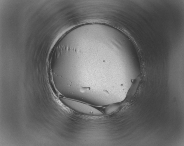 X0000076311140200610201606