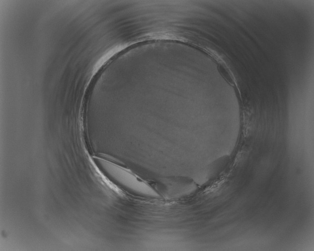 X0000076311141200610201606