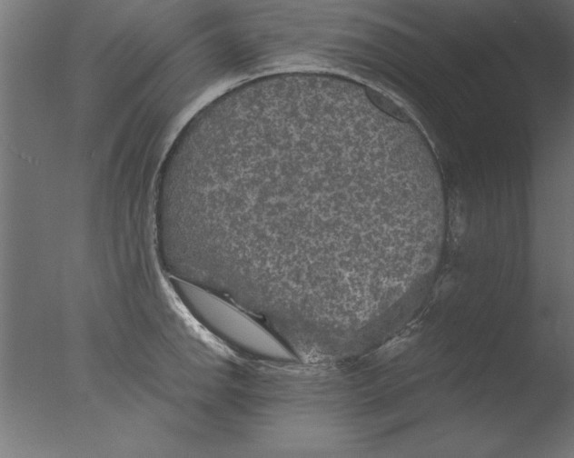 X0000076311142200610201606