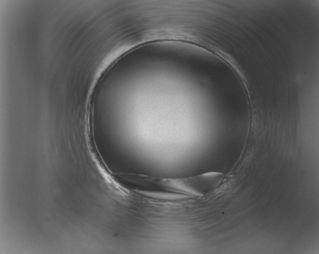 X0000076311144200610201606