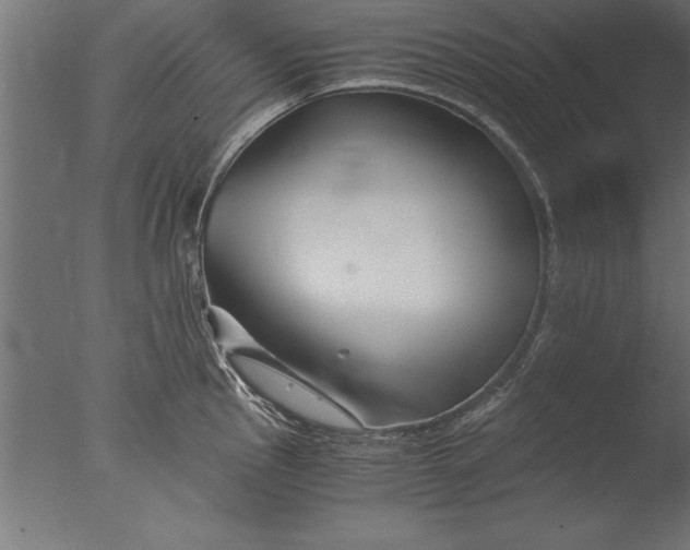 X0000076311145200610201606