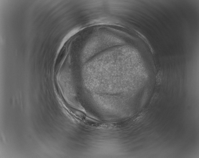 X0000076311146200610201606