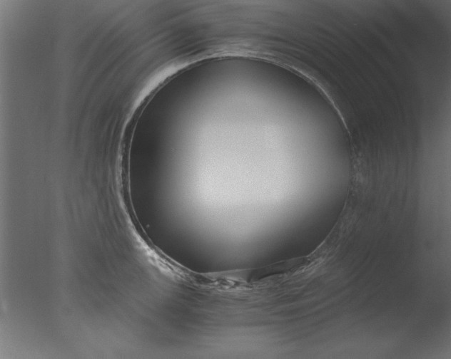 X0000076311147200610201606