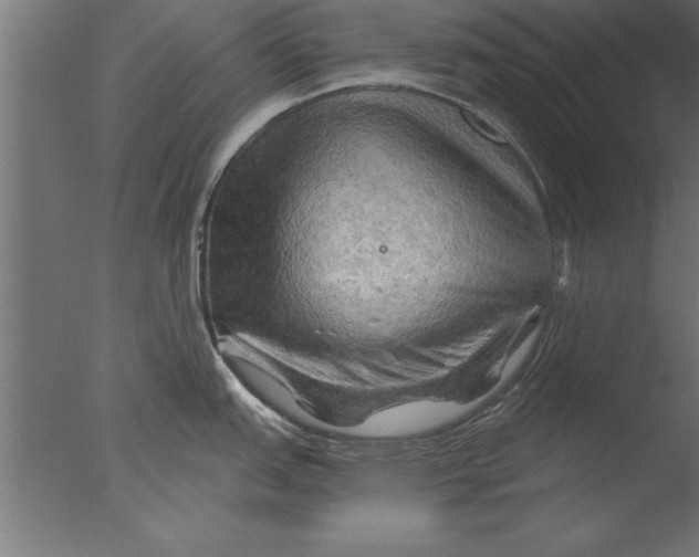 X0000076311151200610201606