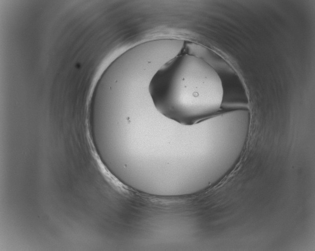 X0000076311152200610201606