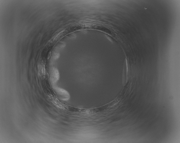 X0000076311155200610201605