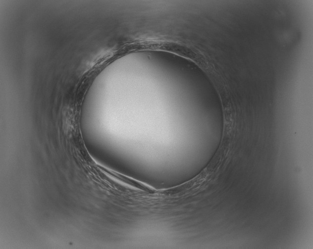 X0000076311157200610201605