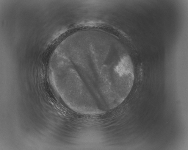 X0000076311158200610201605