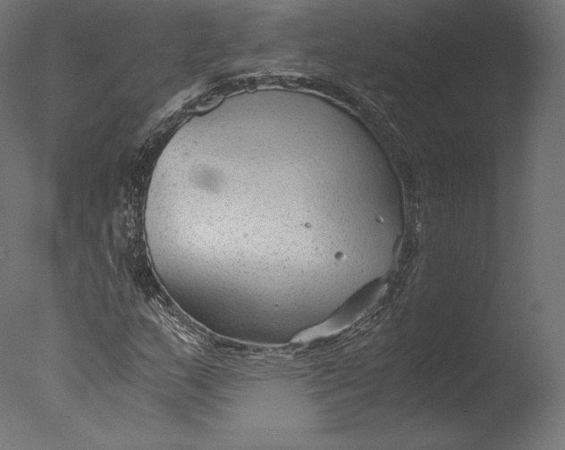 X0000076311159200610201605