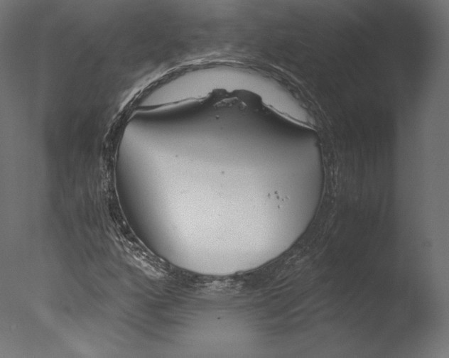 X0000076311160200610201605