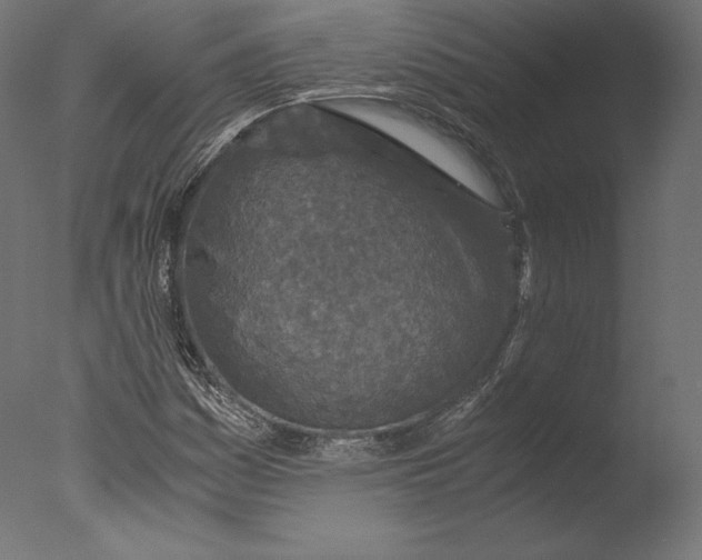 X0000076311161200610201605