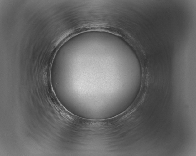 X0000076311162200610201605