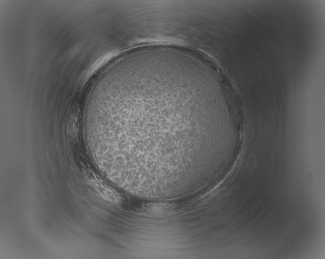 X0000076311163200610201605