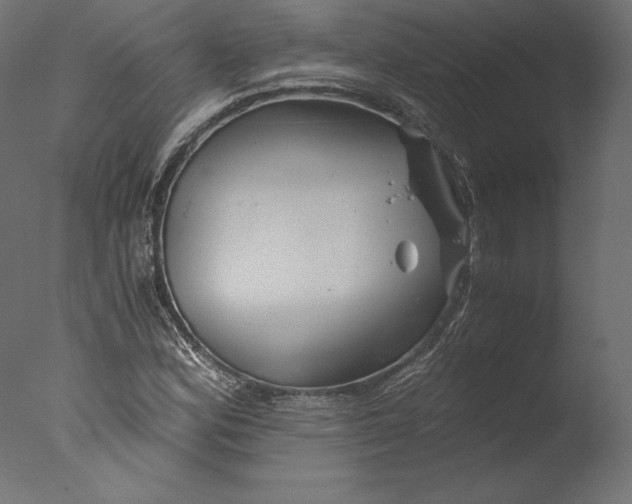 X0000076311164200610201605