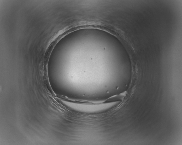 X0000076311165200610201605