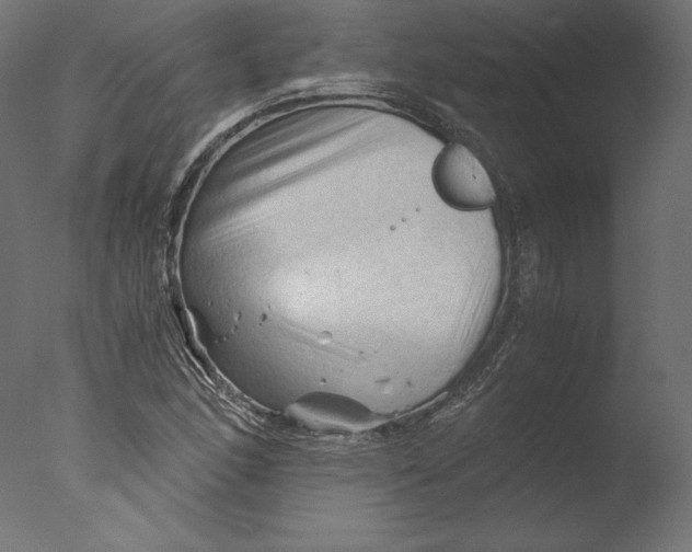 X0000076311166200610201605