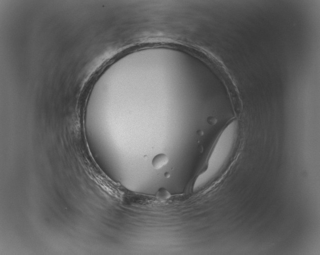 X0000076311167200610201605