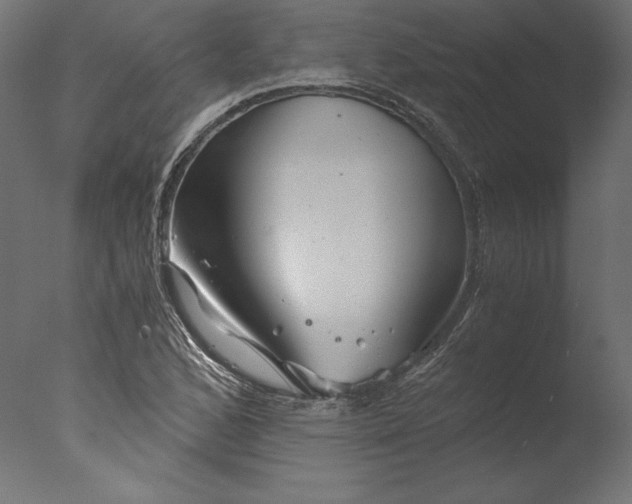 X0000076311168200610201605