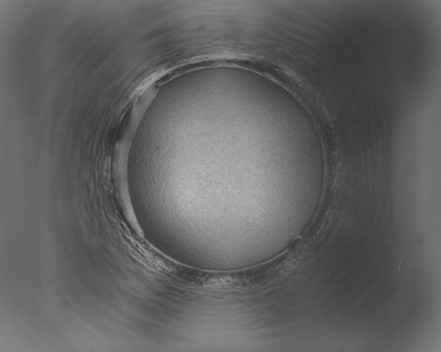 X0000076311169200610201605