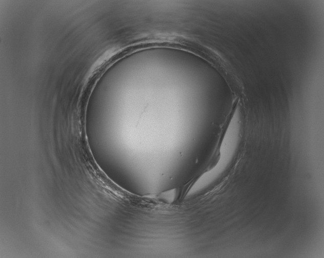 X0000076311172200610201605