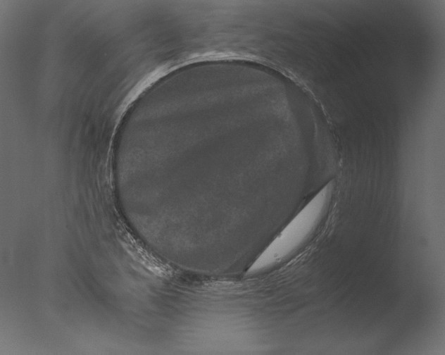 X0000076311173200610201605