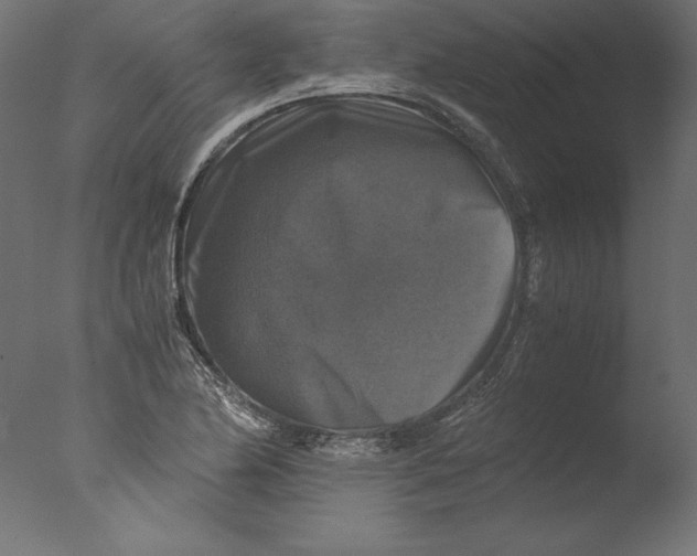 X0000076311174200610201605