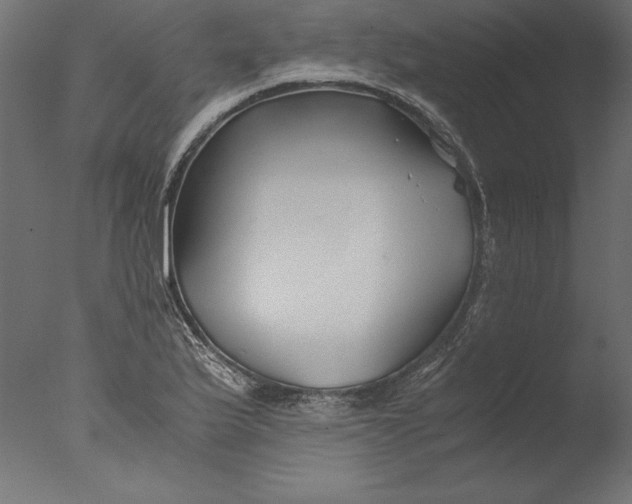 X0000076311175200610201605