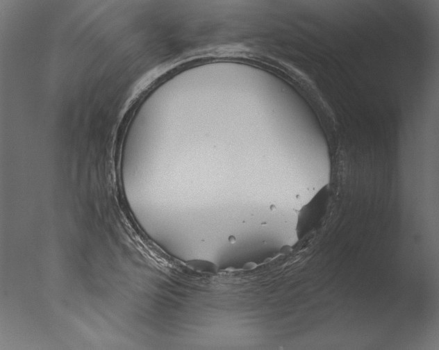 X0000076311176200610201605