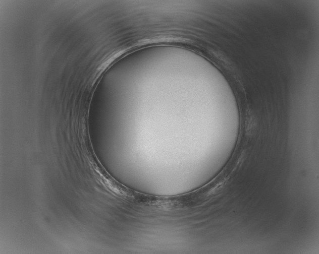 X0000076311177200610201605