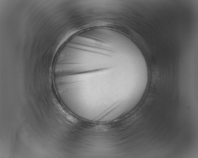 X0000076311178200610201605