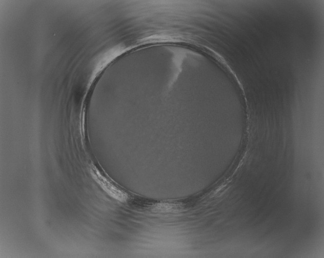 X0000076311179200610201605