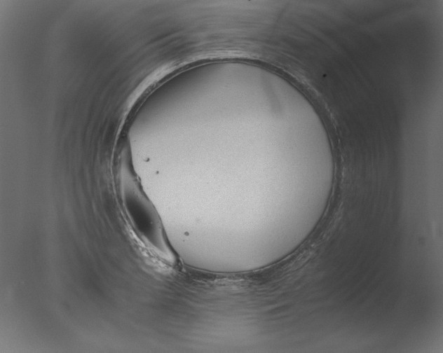 X0000076311181200610201605