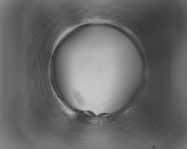 X0000076311183200610201605