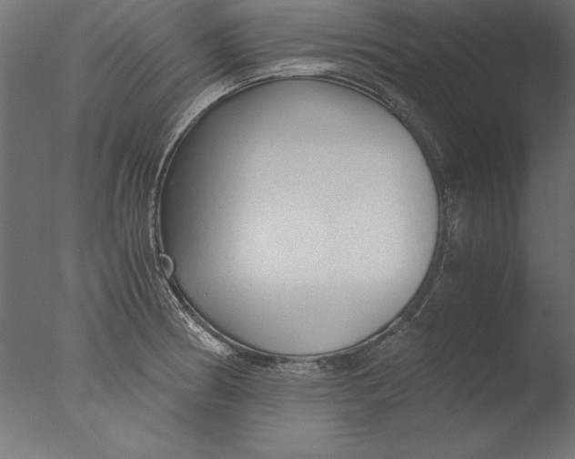 X0000076311186200610201604